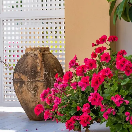 Guest house Casa Bijou - De Vivo Realty *